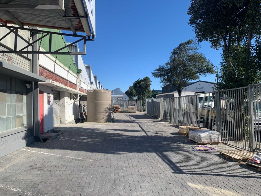 To Let 0 Bedroom Property for Rent in Paarden Eiland Western Cape